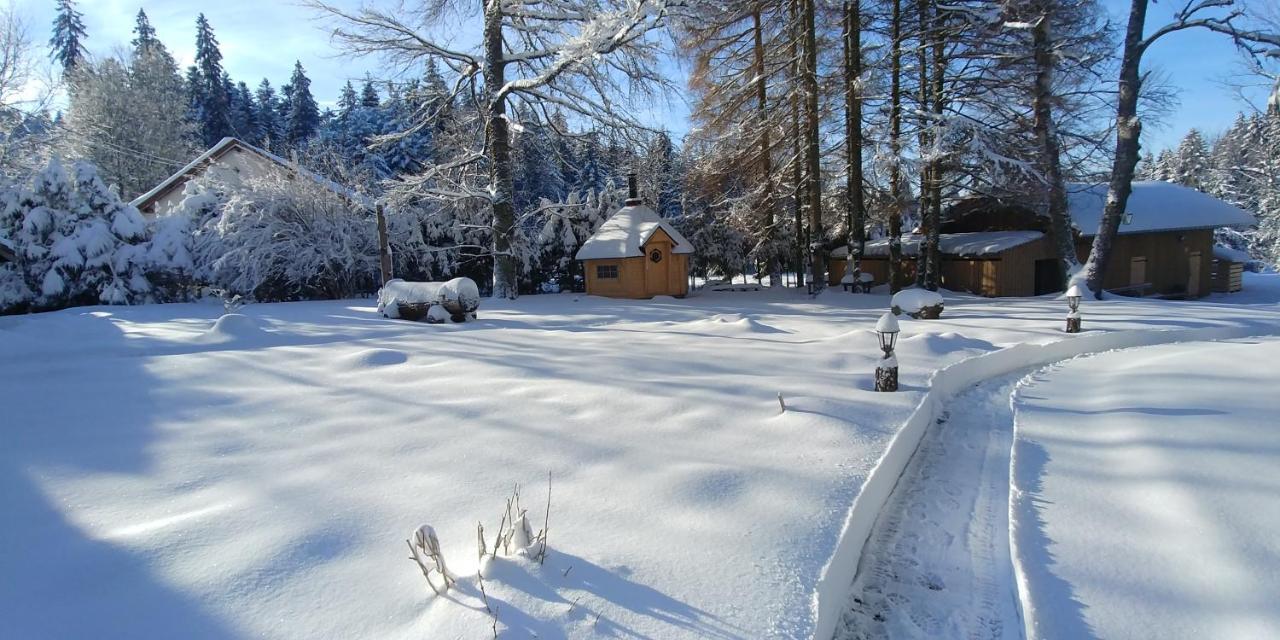 Chalet De Martimprey - Chalets - Gites - Chambres D' Hotes Et Spas Gérardmer Eksteriør billede