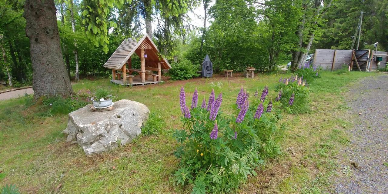 Chalet De Martimprey - Chalets - Gites - Chambres D' Hotes Et Spas Gérardmer Eksteriør billede